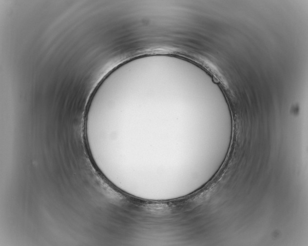 X0000089901186200707262244