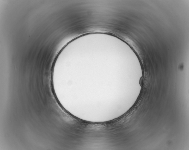X0000089901187200707262244
