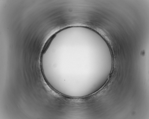 X0000089901189200707262244