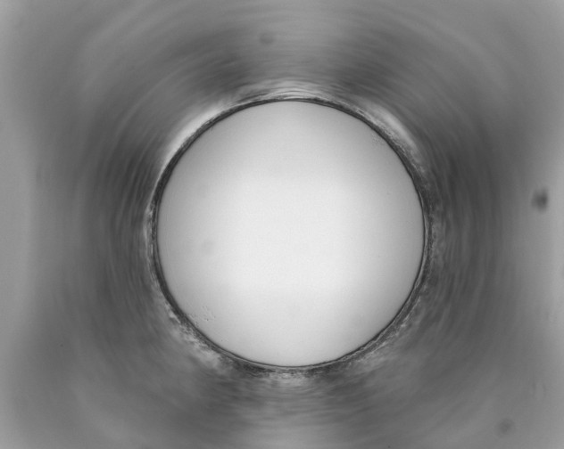 X0000089901190200707262244