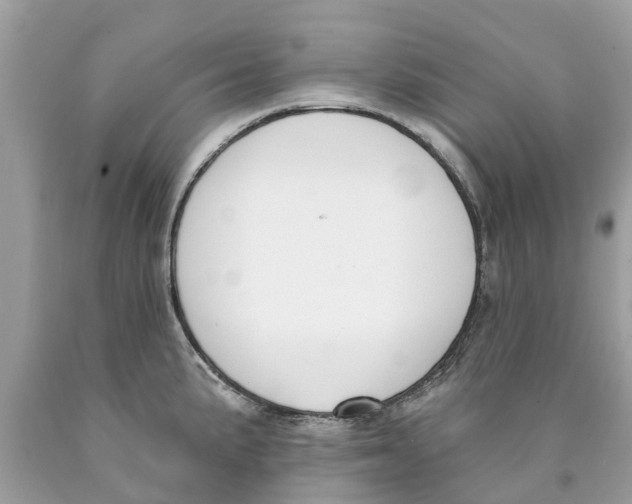 X0000089901191200707262244