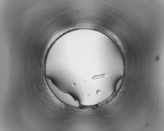 X0000089901192200707262244