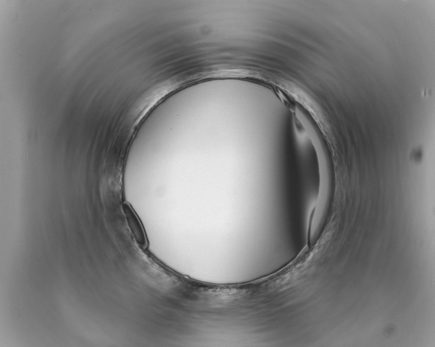 X0000089901193200707262244