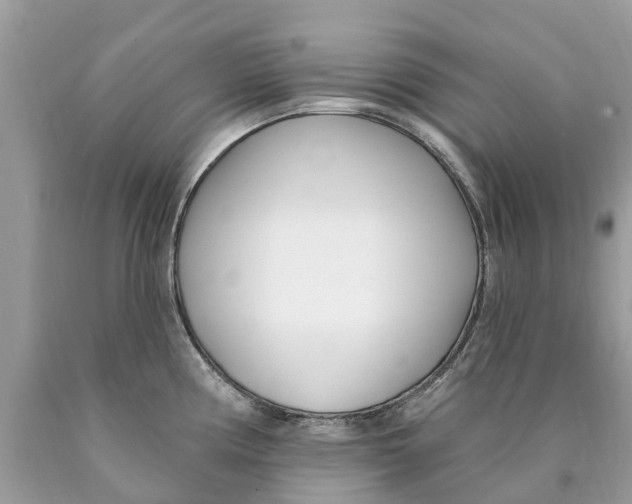 X0000089901194200707262244