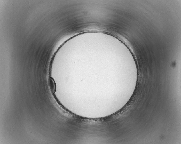 X0000089901195200707262244
