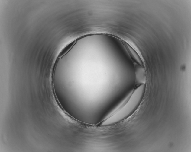 X0000089901197200707262244