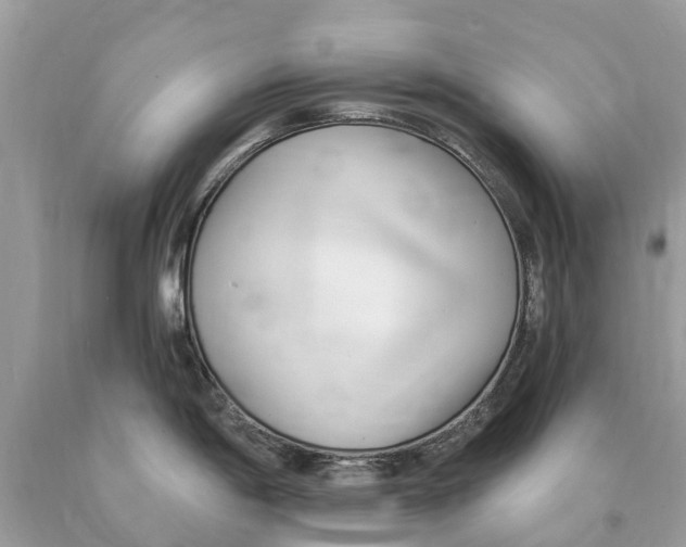 X0000089901198200707262244