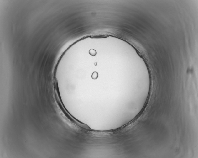 X0000089901200200707262244