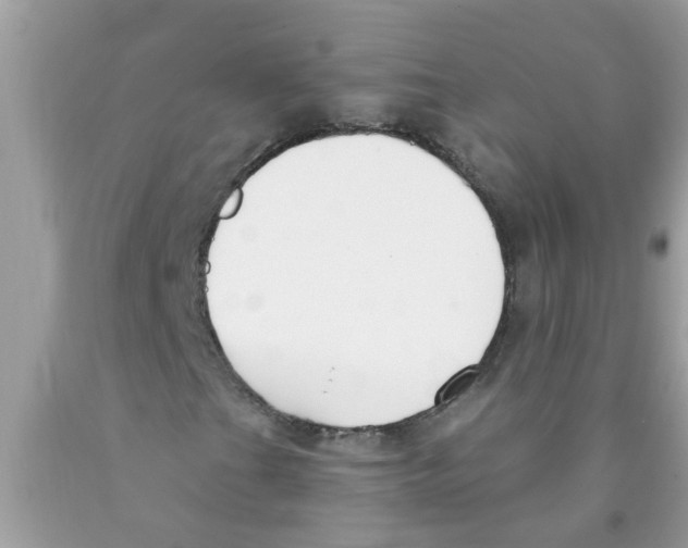 X0000089901201200707262243