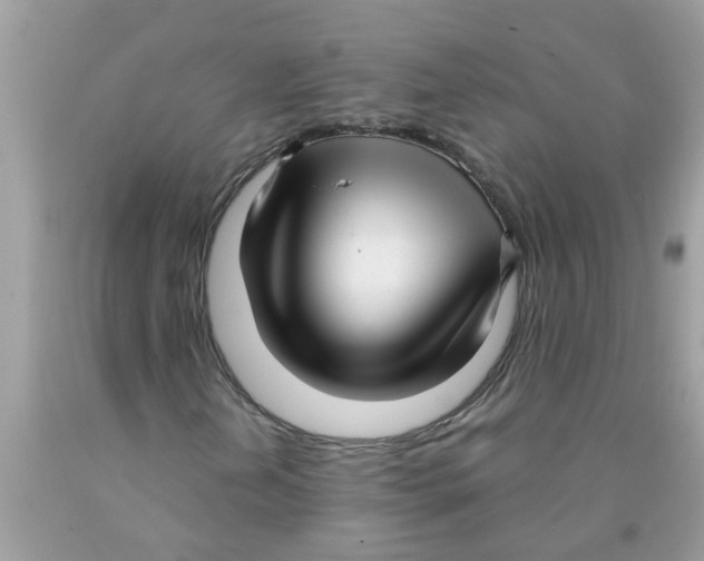 X0000089901202200707262243
