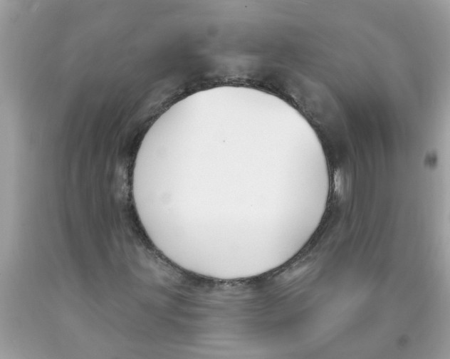 X0000089901203200707262244