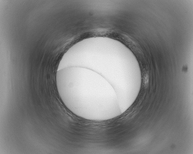 X0000089901204200707262244