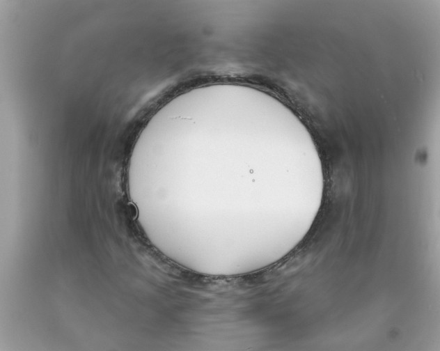 X0000089901205200707262244