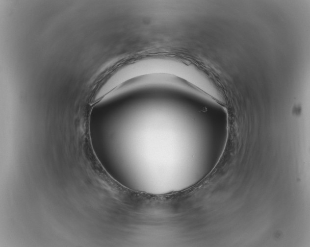 X0000089901206200707262244