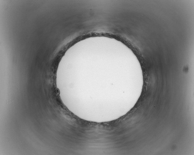X0000089901207200707262244