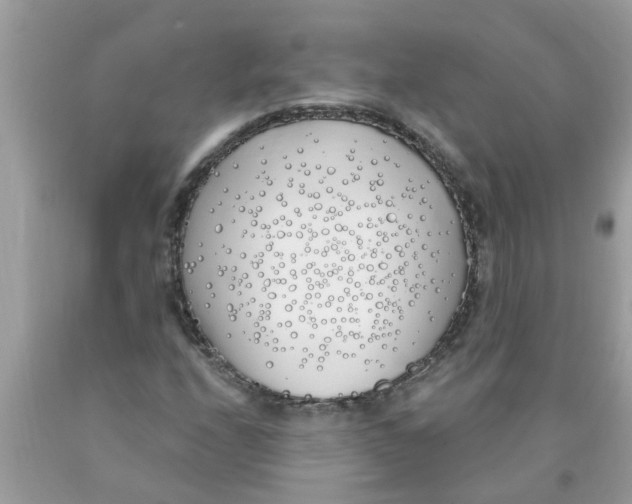 X0000089901208200707262244