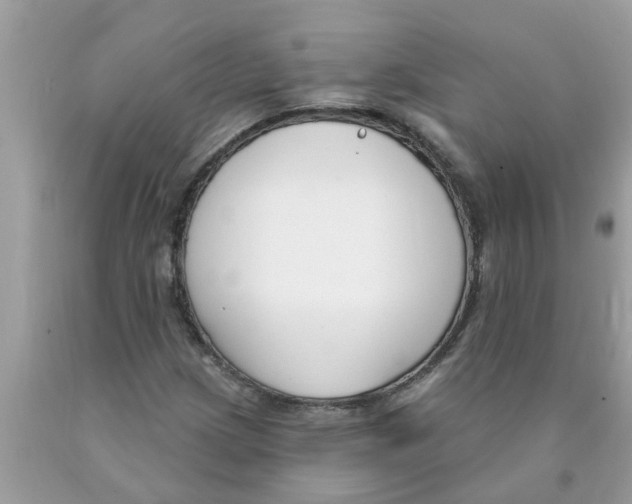 X0000089901209200707262244