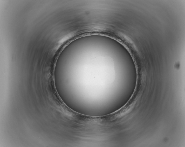 X0000089901210200707262244