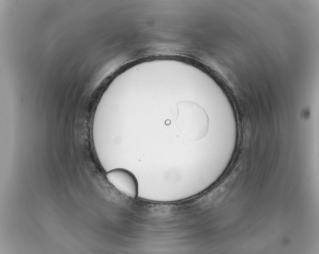 X0000089901211200707262244