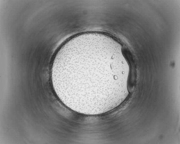 X0000089901212200707262244