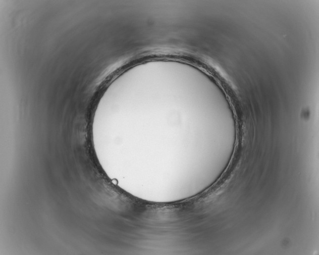 X0000089901213200707262244