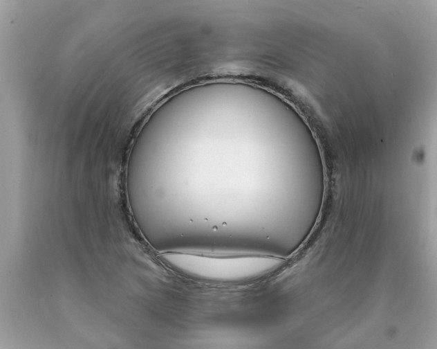 X0000089901217200707262244