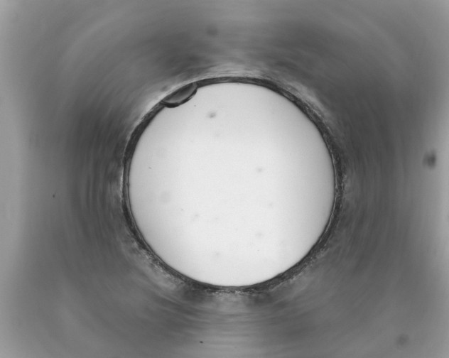 X0000089901220200707262244