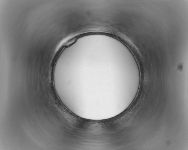 X0000089901222200707262244
