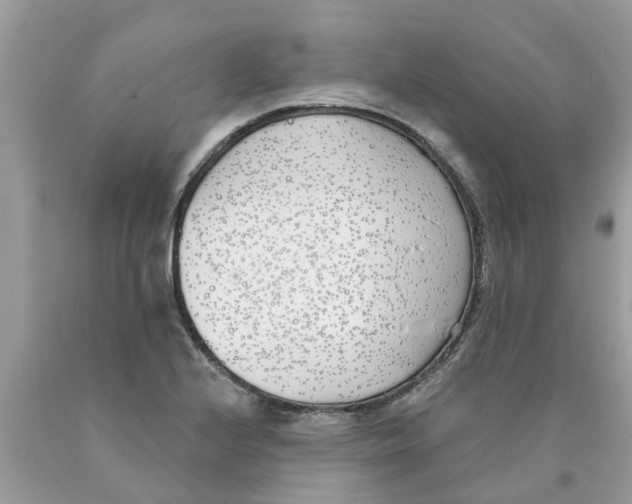 X0000089901224200707262244