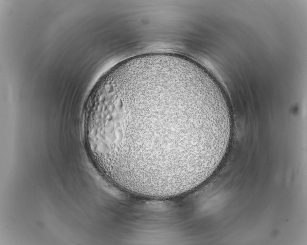 X0000089901227200707262244