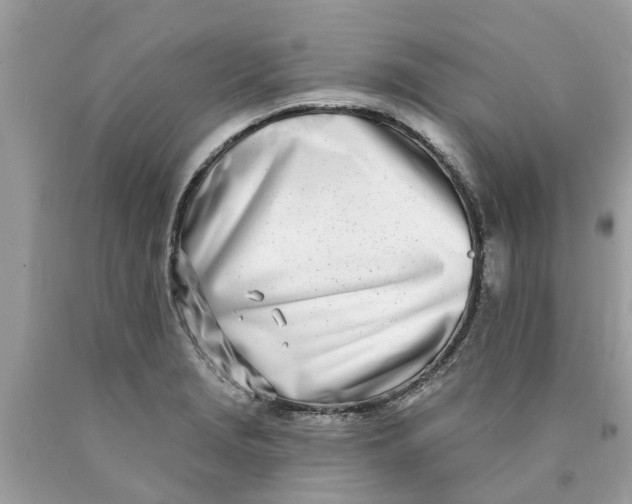 X0000089901229200707262244