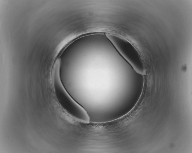 X0000089901230200707262244