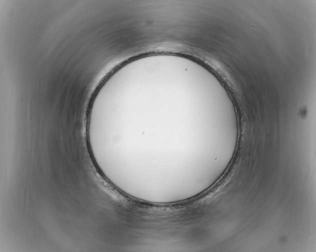 X0000089901232200707262244