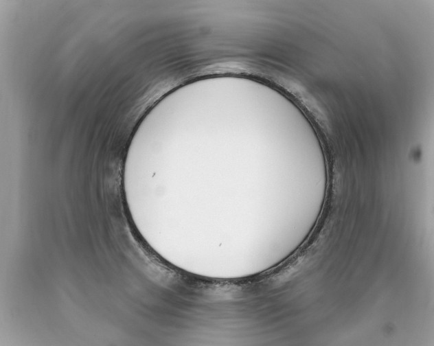 X0000089901233200707262244