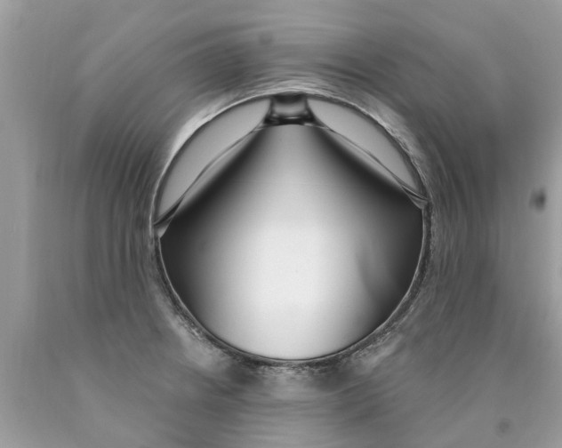 X0000089901234200707262244