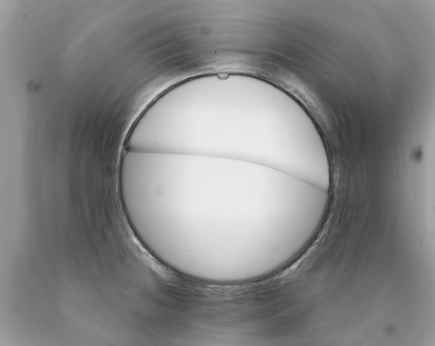 X0000089901236200707262244