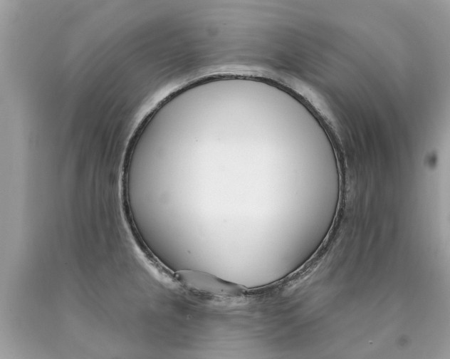 X0000089901237200707262244