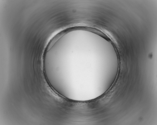 X0000089901238200707262244
