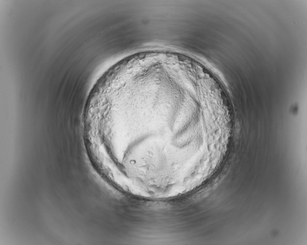 X0000089901239200707262244