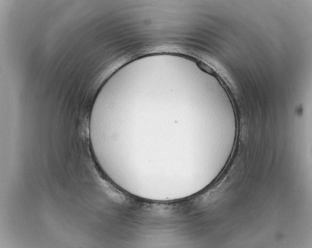 X0000089901241200707262244