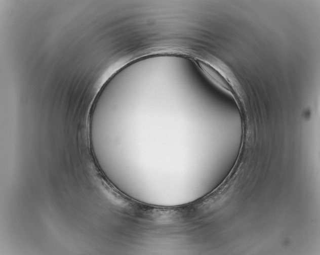 X0000089901242200707262244