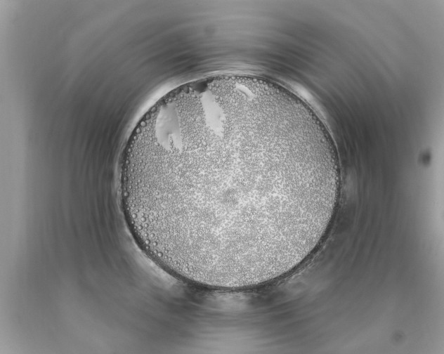 X0000089901243200707262244
