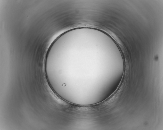 X0000089901246200707262244