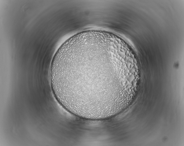 X0000089901247200707262244