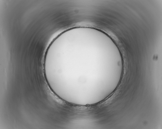 X0000089901248200707262244