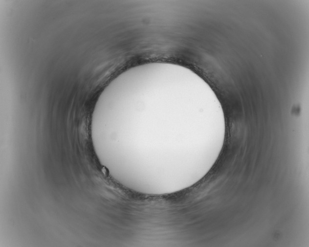 X0000089901250200707262243