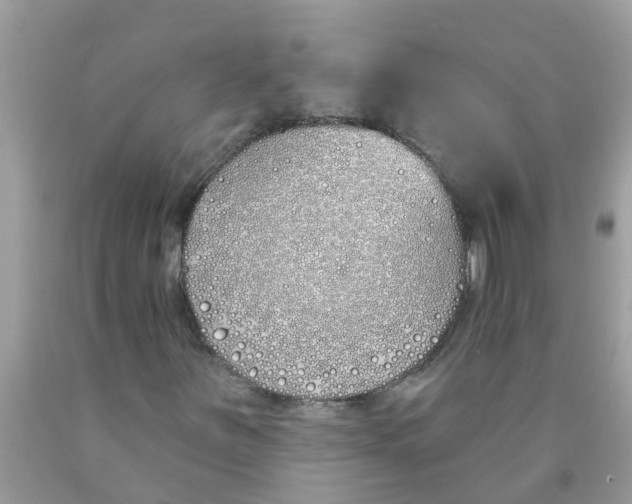 X0000089901251200707262243