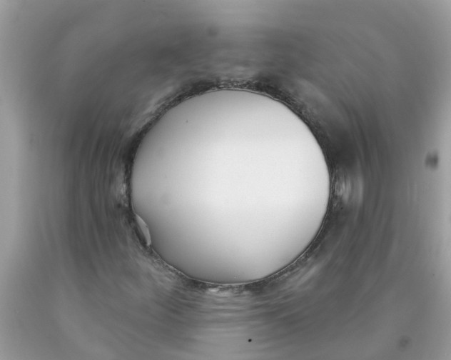 X0000089901252200707262243