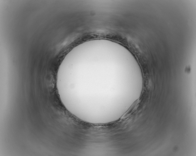 X0000089901253200707262243