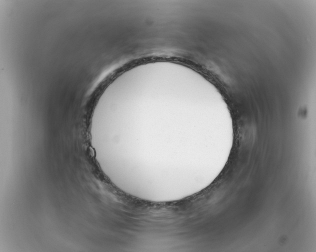 X0000089901256200707262243